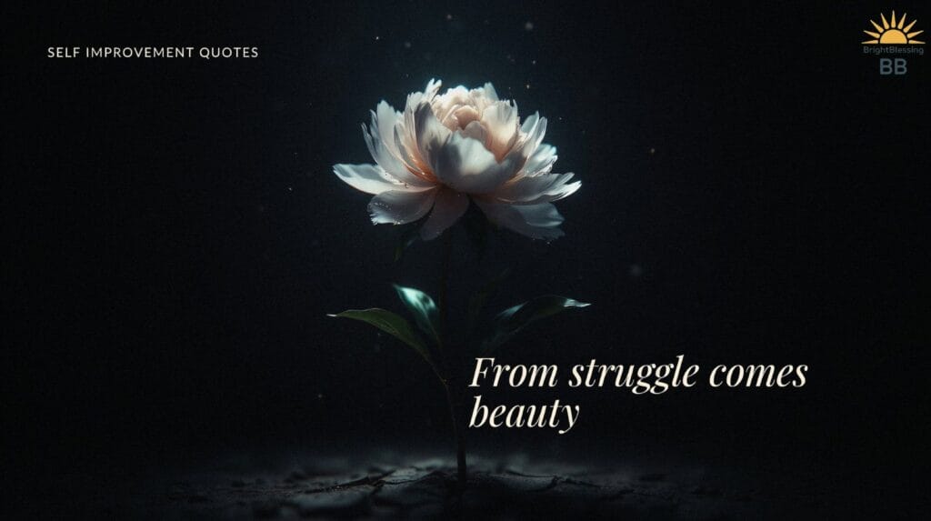 Self Improvement Quotes