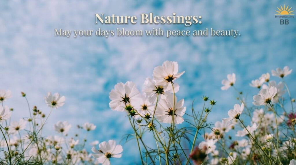 Nature Blessings
