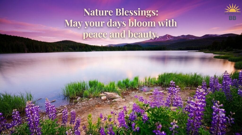 Nature Blessings