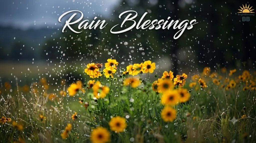Rain Blessings